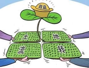 除甲醛最有效方法_如何有效增加农民收入(3)